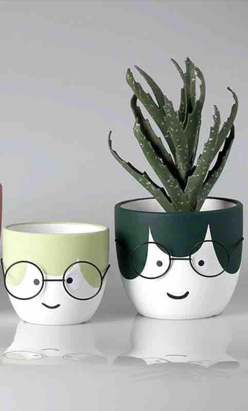 Set of 2 Face planters