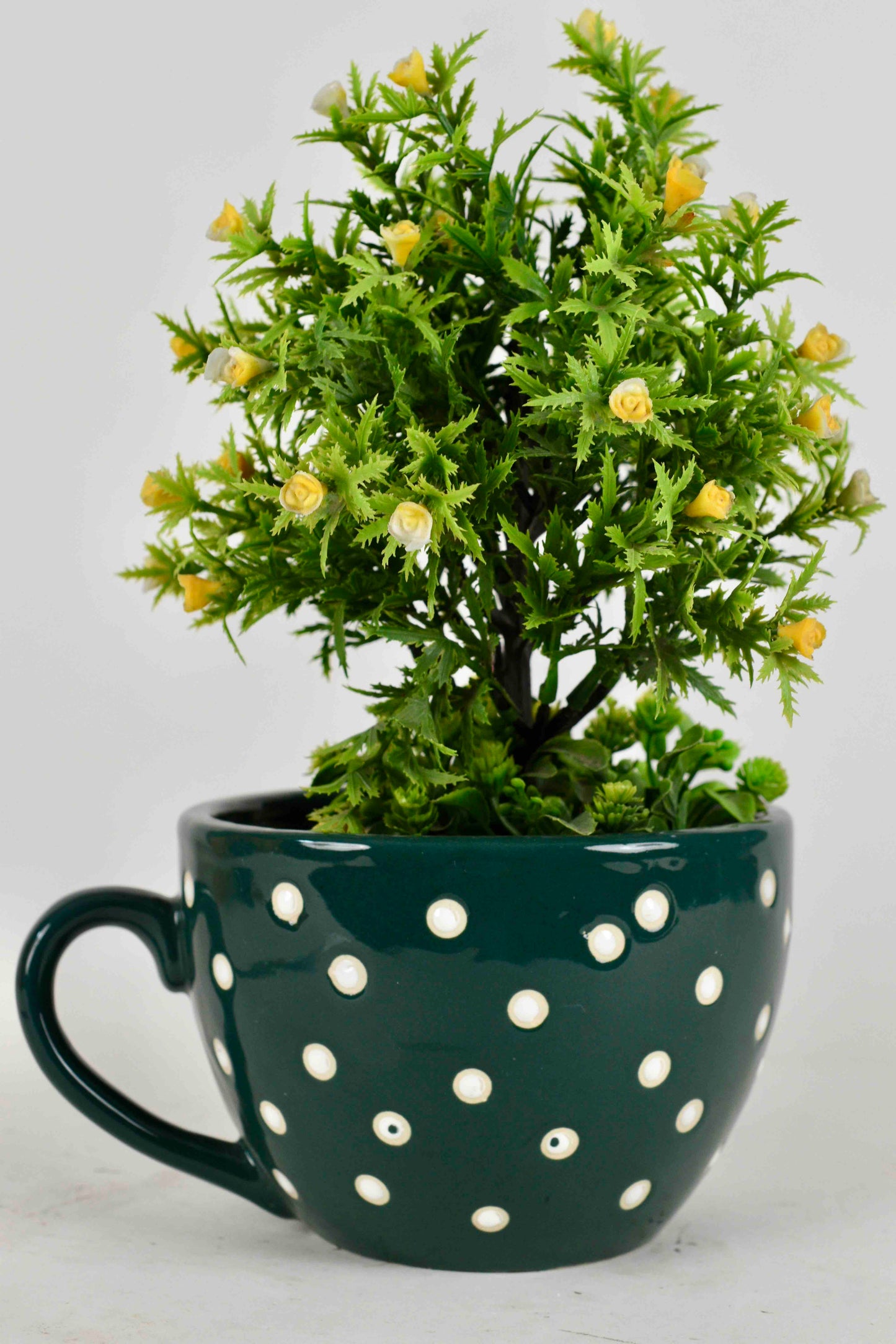 Cup Shaped Planter