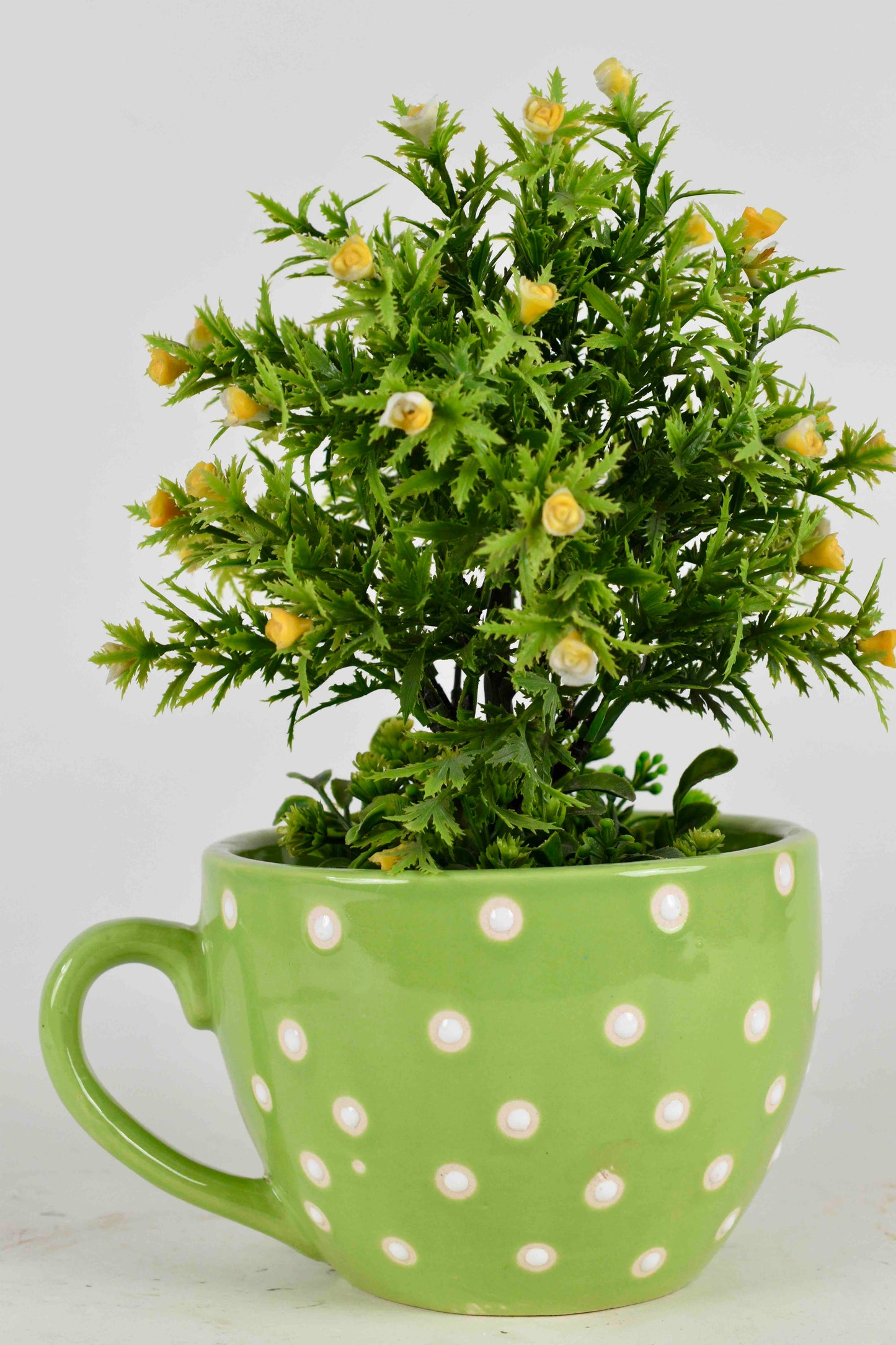 Cup Shaped Planter