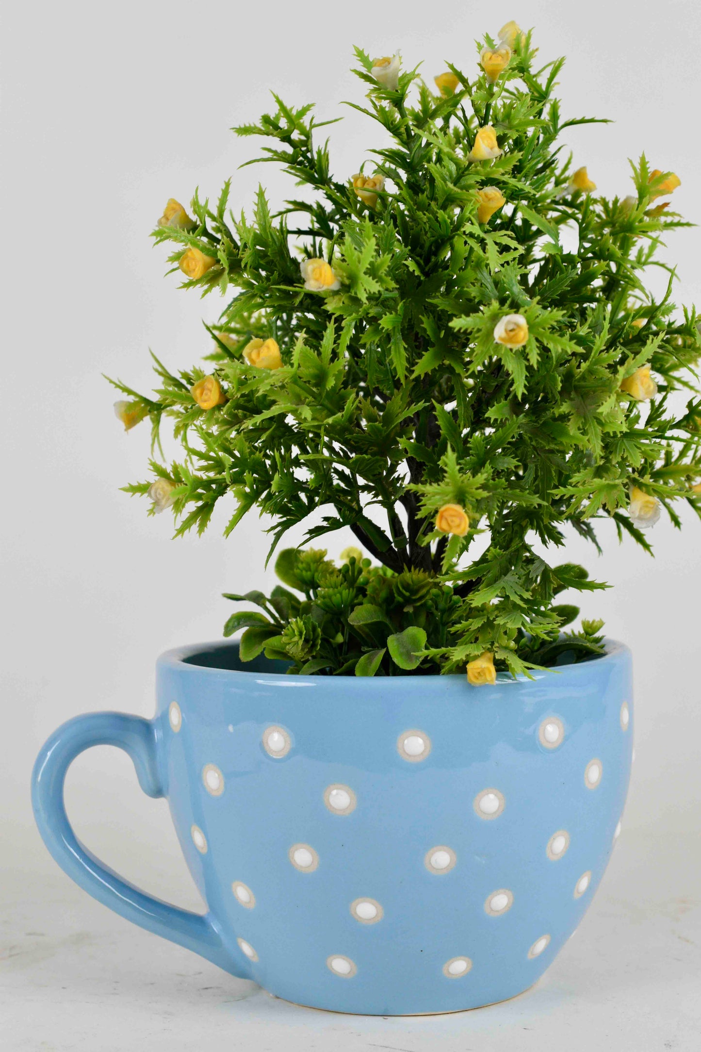 Cup Shaped Planter