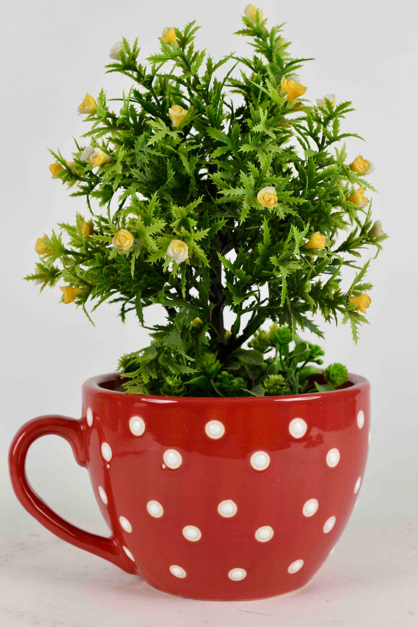 Cup Shaped Planter