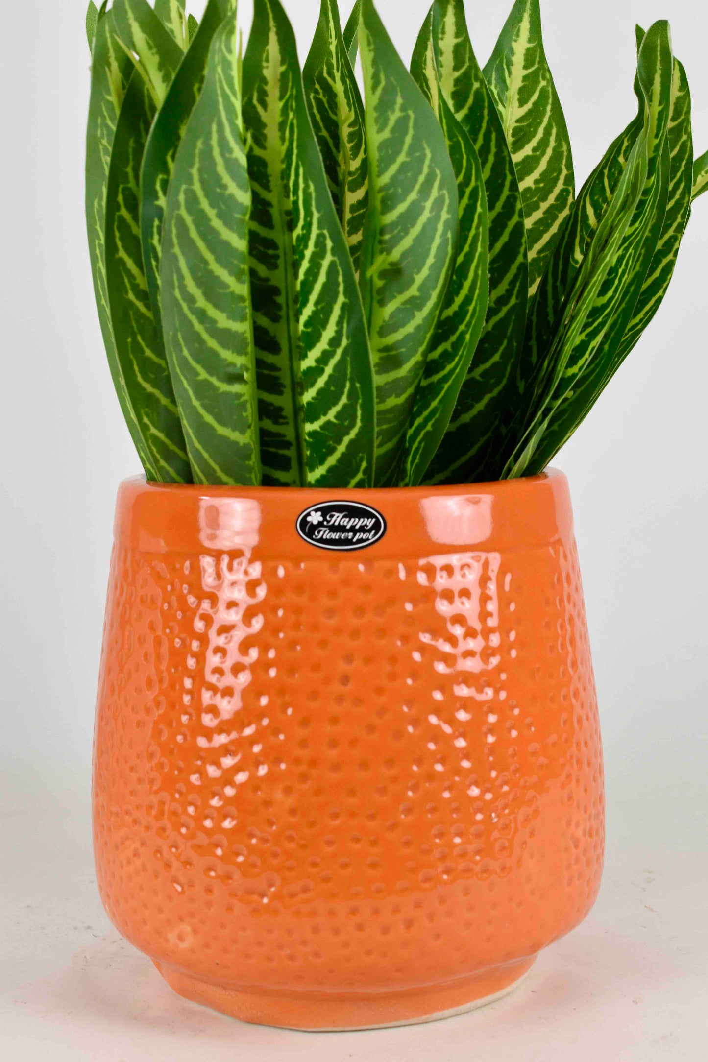 Dotted pattern planter