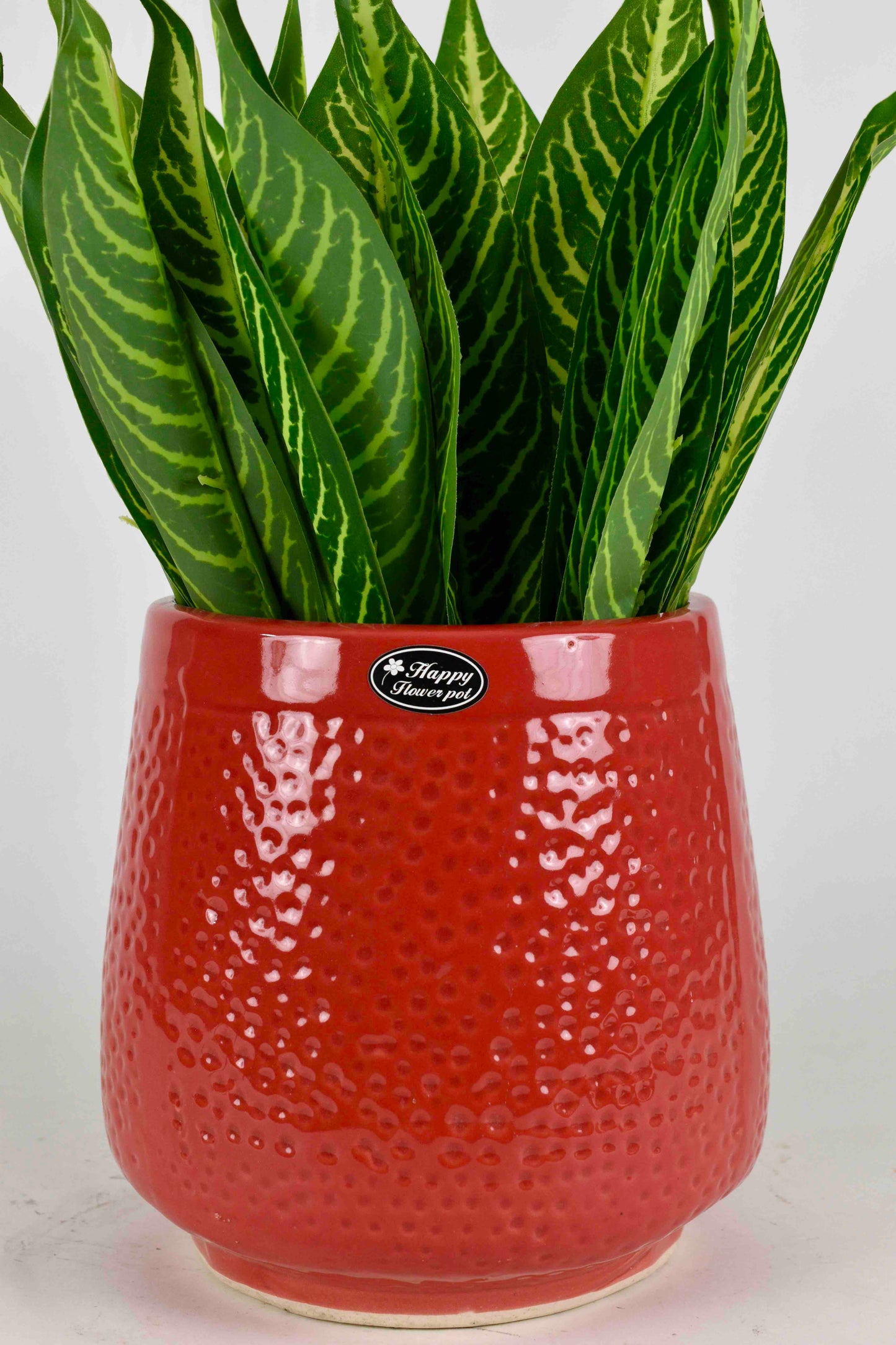 Dotted pattern planter