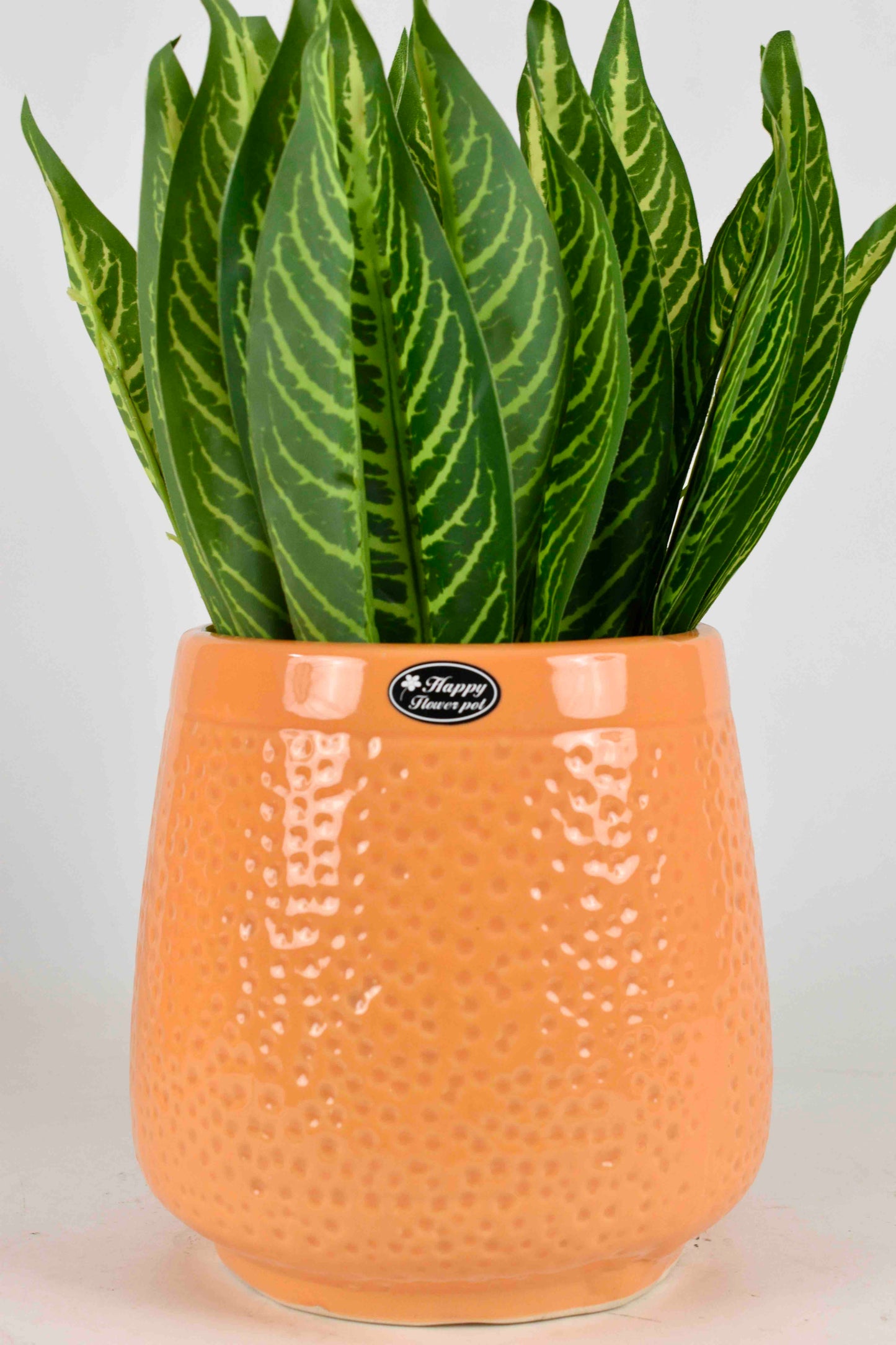 Dotted pattern planter