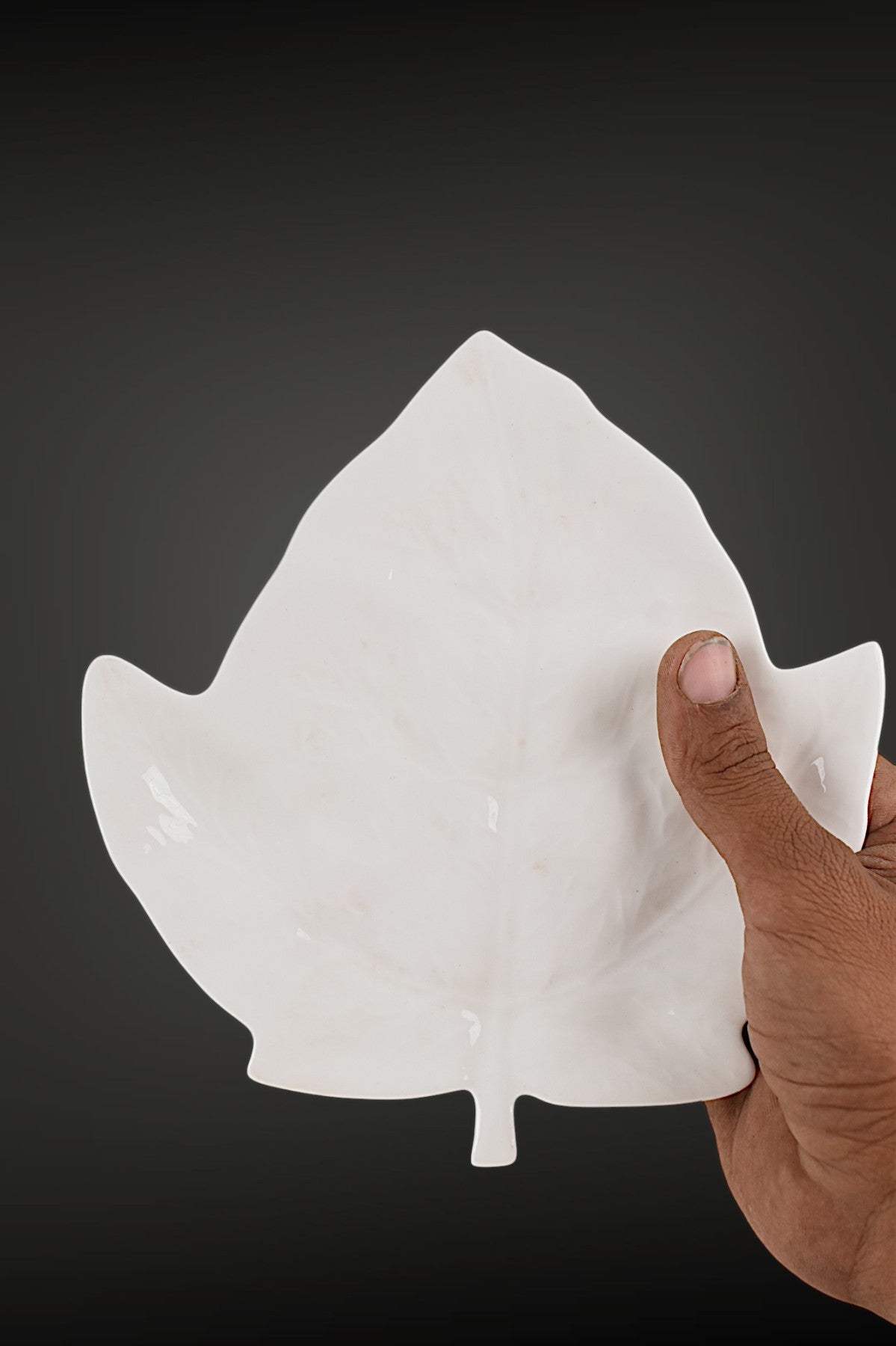 Elegant Leaf-Shaped Plate