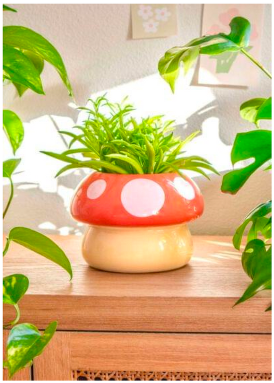 Mushroom-Shaped Planter