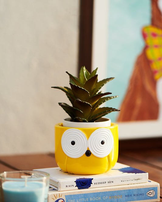 Adorable Owl-Shaped Planter